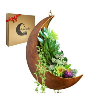 Hanging Moon Planter - Moms Day Gifts for Women - Moon Room Decor - Unique Planters for Succulents,A...