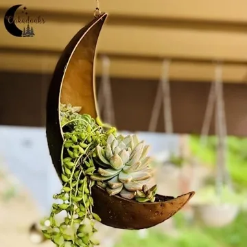 Hanging Moon Planter - Unique Succulent Gifts for Women