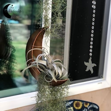 Hanging Moon Planter - Unique Succulent Gifts for Women
