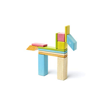 Tegu Magnetic Wooden Blocks 14-Piece Set for Kids