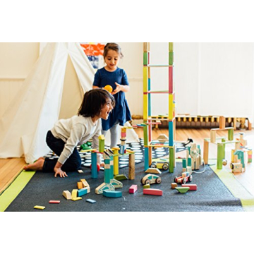 Tegu Magnetic Wooden Blocks 14-Piece Set for Kids