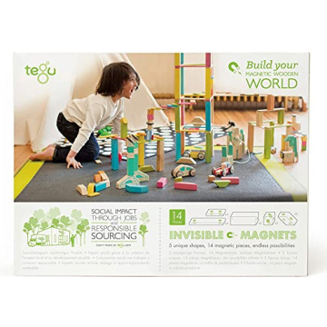 Tegu Magnetic Wooden Blocks 14-Piece Set for Kids