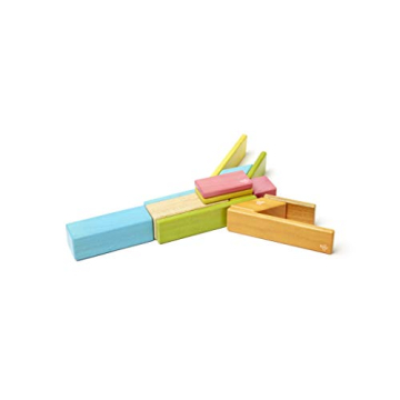 Tegu Magnetic Wooden Blocks 14-Piece Set for Kids