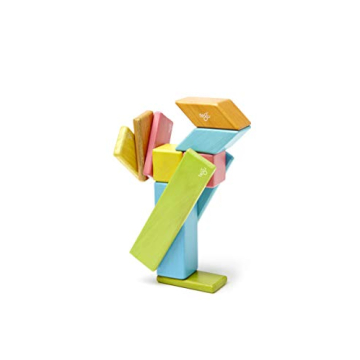 Tegu Magnetic Wooden Blocks 14-Piece Set for Kids