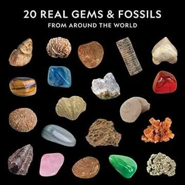 NATIONAL GEOGRAPHIC Rock & Fossil Collection - Rock Collection for Kids, 20 Rocks & Fossils with Agate, Rose Quartz, Jasper & More, STEM Science Kit for Boys & Girls (Amazon Exclusive)