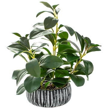 AlphaAcc Artificial Plants Decor Greenery Fake Succulents Indoor Potted Fake Plant with Rustic Black...