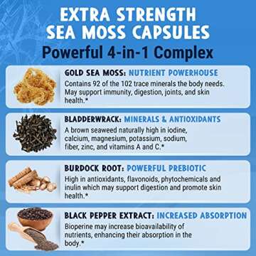 MAJU 4-in-1 Organic Sea Moss Capsules, Wild Chondrus Crispus, 500 mg