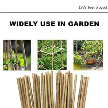 HOPELF 50 Pack 3ft Bamboo Plant Stakes - Versatile Support options