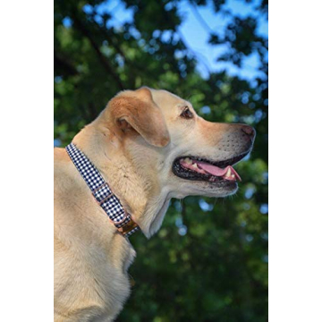 Adjustable Bowtie Dog Collar for All Sizes - ARING PET