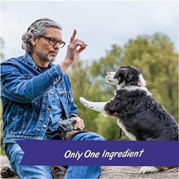 Pet Botanics Freeze-Dried Beef Liver Treats for Dogs