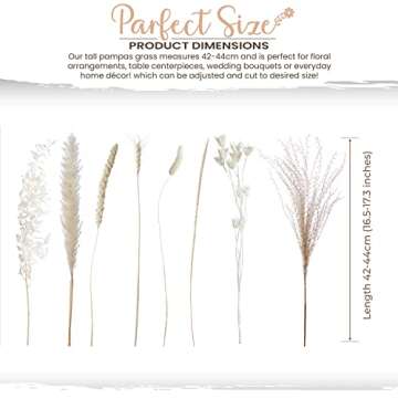 Natural Dried Pampas Grass - 85 Stems Dried Flowers Arrangements – Includes 17 Inch White Pompous ...