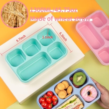 TurtingAs Eco-Friendly 4 Pack Bento Box for Meal Prep