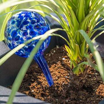Evelots Plant Watering Globes (3 Pack) - Hand Blown Glass - Automatic Water Irrigation System - Indo...