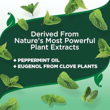 Vet's Best Flea and Tick Yard and Kennel Spray - Yard Treatment Spray Kills Mosquitoes, Fleas, and Ticks with Certified Natural Oils - Plant Safe - 96 oz Refill