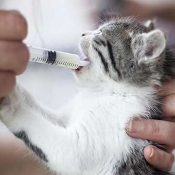 4 Pack 20mL Syringes for Lip Gloss Making Supplies Liquid TKP Lipgloss Base Flavoring Oil Oral Medicine Injection Feeding- with Tip Cap and Pipettes