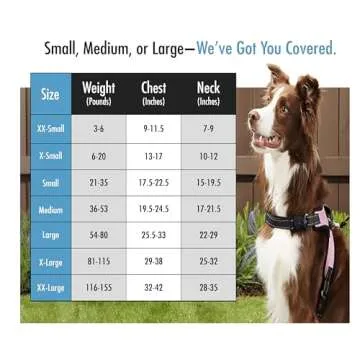 Copatchy No Pull Reflective Adjustable Dog Harness With Handle- Comfortable Soft All Weather Mesh, Easy On Puppy Harness For Small Medium and Large Dogs (Black) Medium