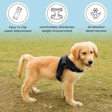 Copatchy No Pull Reflective Adjustable Dog Harness With Handle- Comfortable Soft All Weather Mesh, Easy On Puppy Harness For Small Medium and Large Dogs (Black) Medium