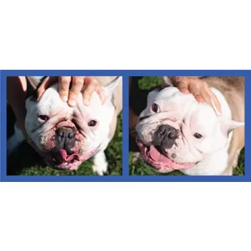 Squishface Wrinkle Paste for Bulldogs and Pugs - 2 Oz