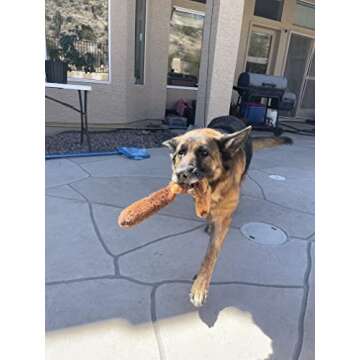 Jalousie 5 Pack Stuffingless Dog Crinkle Paper Toys Dog Toy Dog w/Durable Liner No Stuffing Dog Toy - Dog Toys for Pets Dogs No Stuffing Dog Crinkle Sound Toy for Medium Large Dogs