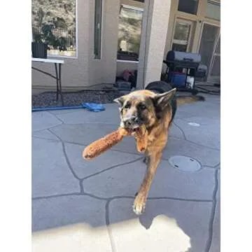 Jalousie 5 Pack Stuffingless Dog Crinkle Paper Toys Dog Toy Dog w/Durable Liner No Stuffing Dog Toy - Dog Toys for Pets Dogs No Stuffing Dog Crinkle Sound Toy for Medium Large Dogs