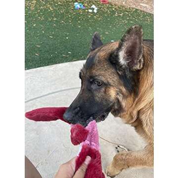 Jalousie 5 Pack Stuffingless Dog Crinkle Paper Toys Dog Toy Dog w/Durable Liner No Stuffing Dog Toy - Dog Toys for Pets Dogs No Stuffing Dog Crinkle Sound Toy for Medium Large Dogs