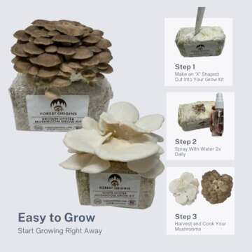 Forest Origins Oyster Mushroom Grow Kit - Easy & Gourmet