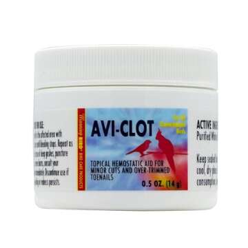 Morning Bird Avi-Clot Natural Blood Stop Powder, 0.5 oz