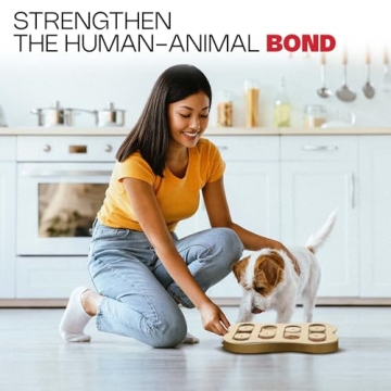 Interactive Dog Puzzle Toy to Boost IQ & Eliminate Boredom