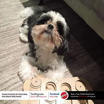 Interactive Dog Puzzle Toy to Boost IQ & Eliminate Boredom