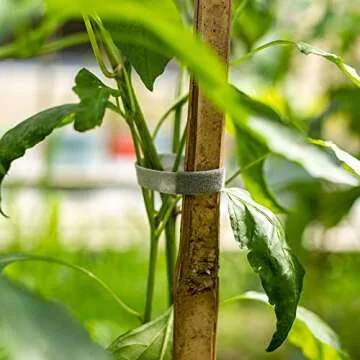 Halfree Garden Tape - Adjustable Plant Ties for Strong Growth