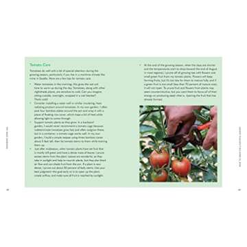 Tiny Space Gardening: Growing Vegetables, Fruits, and Herbs in Small Outdoor Spaces (with Recipes)