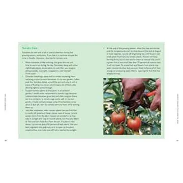 Tiny Space Gardening: Growing Vegetables, Fruits, and Herbs in Small Outdoor Spaces (with Recipes)