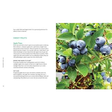 Tiny Space Gardening: Growing Vegetables, Fruits, and Herbs in Small Outdoor Spaces (with Recipes)