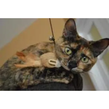 Interactive Cat Teaser Wand Toys Set of 3 for Fun Play