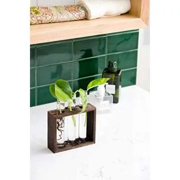 Mkono Wall Hanging Plant Propagation Station for Home Decor