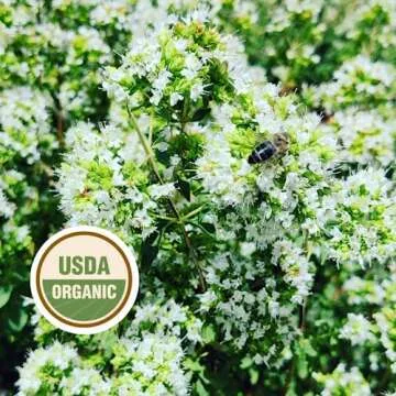 FILIPPONE Organic Oregano - Sicilian Freshness Guaranteed