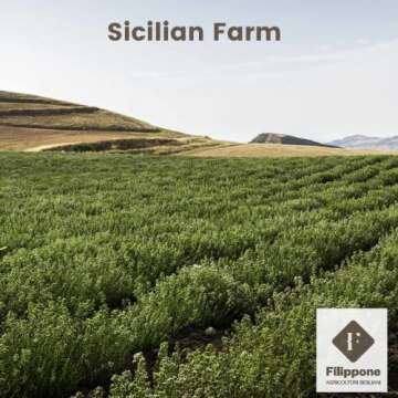FILIPPONE Organic Oregano - Sicilian Freshness Guaranteed