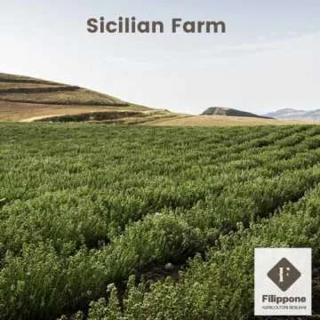 FILIPPONE Organic Oregano - Sicilian Freshness Guaranteed