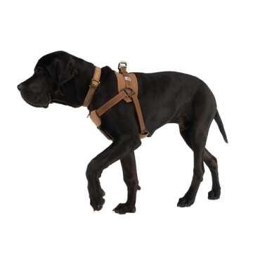 Carhartt Nylon Duck Training Dog Harness, Rugged On-Leash Training Harness with Dual Attachment Points