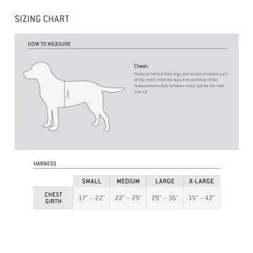 Carhartt Nylon Duck Training Dog Harness, Rugged On-Leash Training Harness with Dual Attachment Points