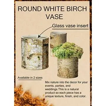 Serene Spaces Living Large White Birch Bark Vase with Glass Interior, Decorative Centerpiece, Rustic Accent Piece, Ideal for Natural Wedding Tablescape, Vintage Home Decor, 4.5" Diameter & 6.5" Tall