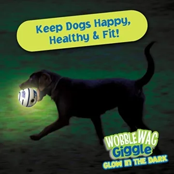 Wobble Wag Giggle Ball Interactive Dog Toy for All