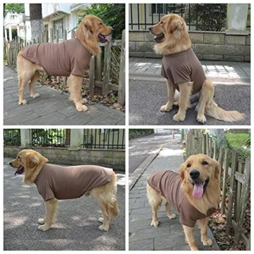 Lovelonglong Dog Costume T-Shirt for All Breeds