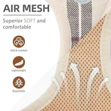 PUPTECK Adjustable No Pull Harness Set for Dogs & Cats