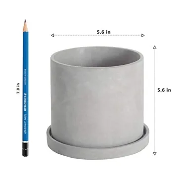Ekirlin Grey Cement Succulent Planter with Drain Hole