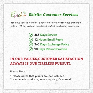 Ekirlin Grey Cement Succulent Planter with Drain Hole