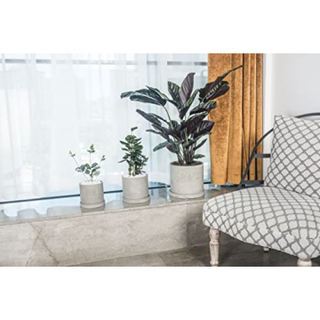 Ekirlin Grey Cement Succulent Planter with Drain Hole