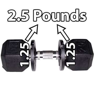 July Body 1.25 Pound Weight Clips – Adds 2.5 Total Pounds - For Dumbbells, Kettlebells, and Barbells - Makes 7.5 12.5 17.5 22.5 27.5 Pound Dumbbells - (2 Clip Pack)