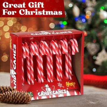 Christmas Candy Canes - Peppermint Delight in Bulk 12 Pack