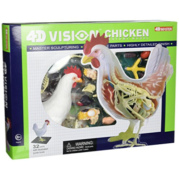 Tedco 4D Vision Chicken Anatomy Model - Interactive Learning Experience